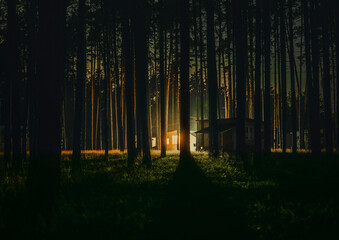 Night fell on the house located in the forest. Away from the bustle of the city, alone with your thoughts, family, for inspiration and search for new ideas