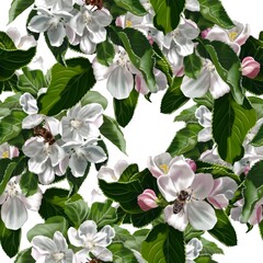 Seamless pattern of apple blossoms. Watercolor illustration of white wild flowers. Ralism