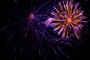 Beautiful multi-colored fireworks against the background of the night sky.