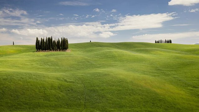 Day Time Lapse of tuscany cypress tree hill, Tuscany, Italy