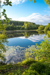 Calm loch in Scottish Highlands with clouds and green trees reflected in mirror like surface