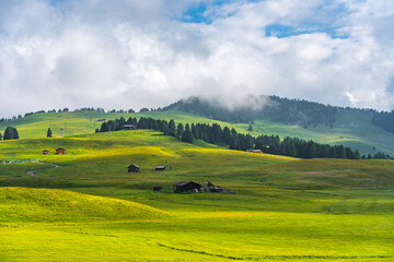 Fototapeta premium Ethereal green landscape with view of huts and trees on rolling hills and mountains hidden in fog at Sunrise of Alp De Suisi, Dolomites, Italy