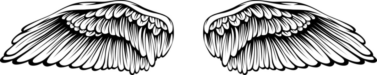 Bird wings vector illustration tattoo style. Hand drawn design element. © ARTSTOK