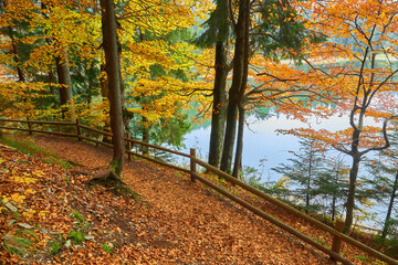 A path along the lake in the autumn forest.