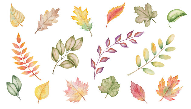 Watercolor illustration of hand painted red, yellow, brown tree leaves. Oak, birch, maple, cherry in autumn colors. Forest nature. Fall foliage. Isolated clip art for textile prints, cards, posters