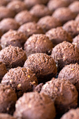 Sweet cocoa cookies. Freshly baked cocoa cookies in a tray. close up