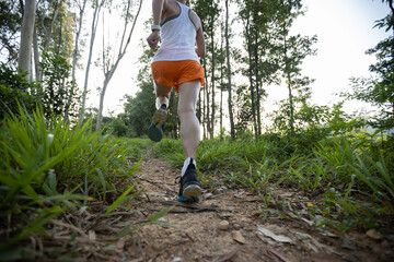 Fototapeta Woman trail runner running at tropical forest mountain peak obraz