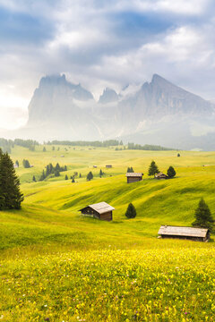 Ethereal green landscape with view of huts and trees on rolling hills and mountains hidden in fog at Sunrise of Alp De Suisi, Dolomites, Italy