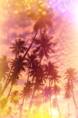 Fototapeta na wymiar Tropical sunset stylized with vintage film light leaks and golden glitter bokeh