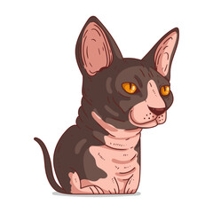 A Sphynx Cat, isolated vector illustration. Cute cartoon picture for children of a serene domestic cat sitting. Drawn cat sticker. Simple drawing of a hairless cat on white background. A kitten.
