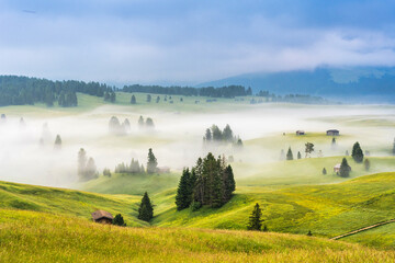 Ethereal green landscape with view of huts and trees on rolling hills and mountains hidden in fog at Sunrise of Alp De Suisi, Dolomites, Italy - 522235025