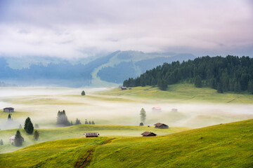 Ethereal green landscape with view of huts and trees on rolling hills and mountains hidden in fog at Sunrise of Alp De Suisi, Dolomites, Italy - 522235235
