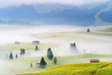 Ethereal green landscape with view of huts and trees on rolling hills and mountains hidden in fog at Sunrise of Alp De Suisi, Dolomites, Italy - 522236037