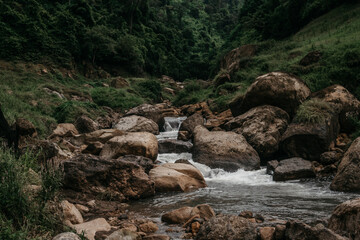 Spring landscape with flowering meadow and high heels.blowhole mountain Nakhon Nayok Province, Thailand