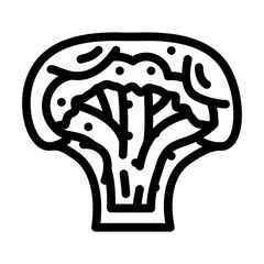 broccoli muffins line icon vector. broccoli muffins sign. isolated contour symbol black illustration