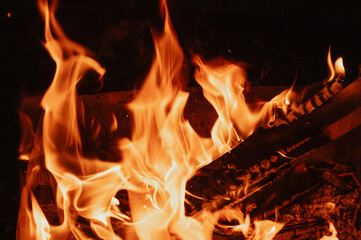 Fototapeta premium A bonfire in close-up, flames, charred pieces of logs and ashes in the open air. Camping.