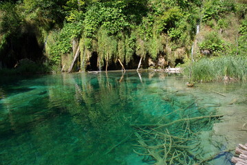 krystalicznie czysta woda, Plitwickie jeziora, Chorwacja