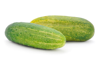 Organic fresh cucumber.