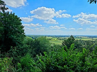 landscape with trees