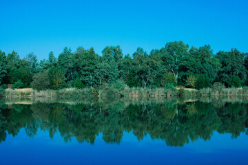 Fototapeta na wymiar forest reflected in the lake