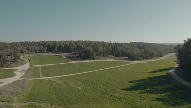 Drone flies over a green wheat field In the center of a large forest to above forest tree line - PUSH IN SHOT (colored)