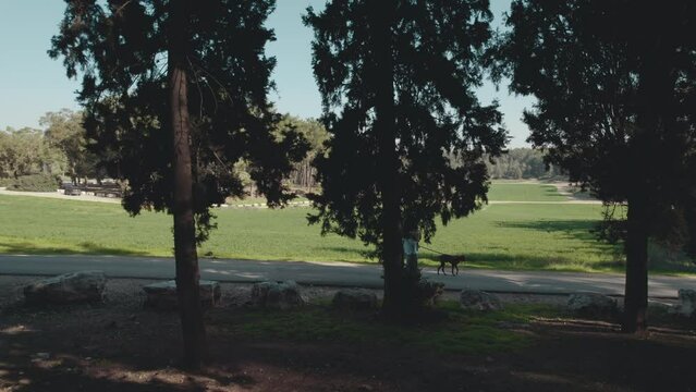 Drone flies inside forest trees and tracking a family with a small child walks with a dog cloes to green wheat field ,spring time - tracking shot to the right (colored)