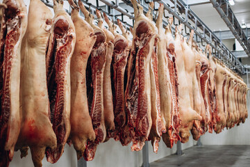 Raw pork meat hanging at the freezer