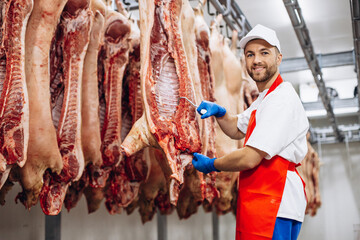 Man butcher standing in meat freezer holding hook