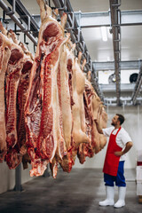 Young butcher at the meat factory standing by the hanging meat