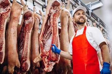Fototapeta na wymiar Man butcher standing in meat freezer holding hook