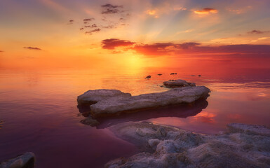 Bello atardecer de colores rojos y magentas, en el parque natural de las salinas de Torrevieja.Una...