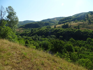 Fototapeta premium landscape with sky