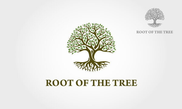 Root Of The Tree Vector Logo Illustration. The vector logo this beautiful tree is a symbol of life, beauty, growth, strength, and good health.