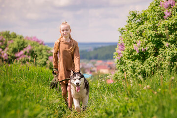 Naklejka na ściany i meble Siberian husky and his owner run merrily along the road together against the backdrop of a panoramic view, rural landscape in summer.