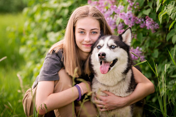 A Siberian Husky and his beautiful blue-eyed owner are cuddling while lying in the grass. The...