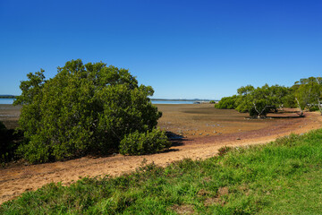 Redland Bay beach scene at low tide with grass, mangroves and jetty in the distance 