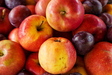 Fototapeta na wymiar Fresh seasonal harvest of apples and plums close-up