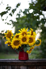 sunflowers in a red teapot