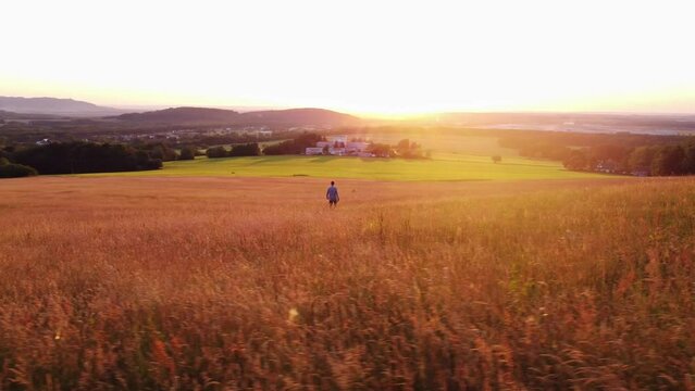 Thoughtful man in a colourful shirt walks in the early evening light through a meadow teeming with life and biodiversity, wondering how to preserve this healthy ecosystem.