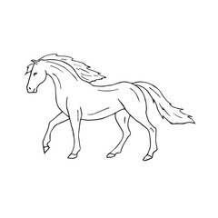 Vector hand drawn doodle sketch pre spanish horse isolated on white background