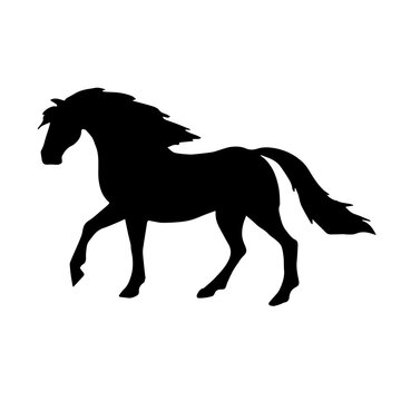 Vector hand drawn pre spanish horse silhouette isolated on white background