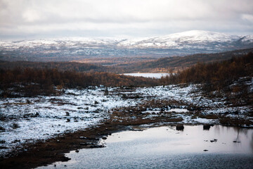 Tundra (moss field) in winter season, Terabika, Murmansk, Russia