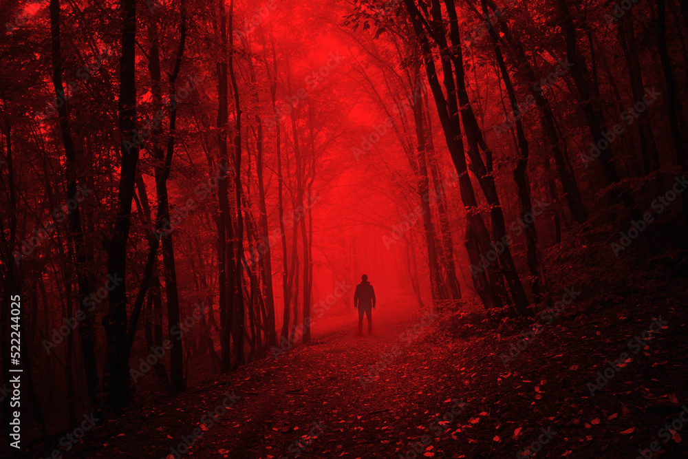 Wall mural man in dark scary forest on halloween night