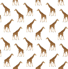 Vector seamless pattern of flat hand drawn giraffe isolated on white background
