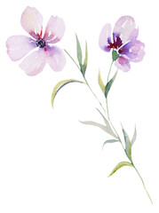 Light purple Watercolor wildflowers and leaves, wedding and greeting illustration elements