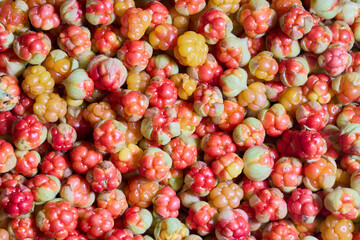 Cloudberries are scattered on table to dry.