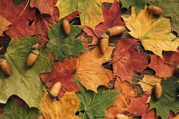 The concept of autumn backgrounds. Dry maple and acorn leaves on a wooden background with a copy of the space and a clean place for your text.