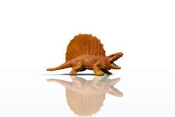 Aggressive snarling orange Dimetrodon dinosaur figurine isolated on white background with added reflection and shadow