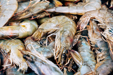 Fresh shrimp in loda in the bazaar