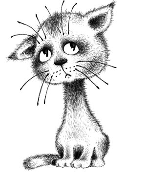 Guilty kitten